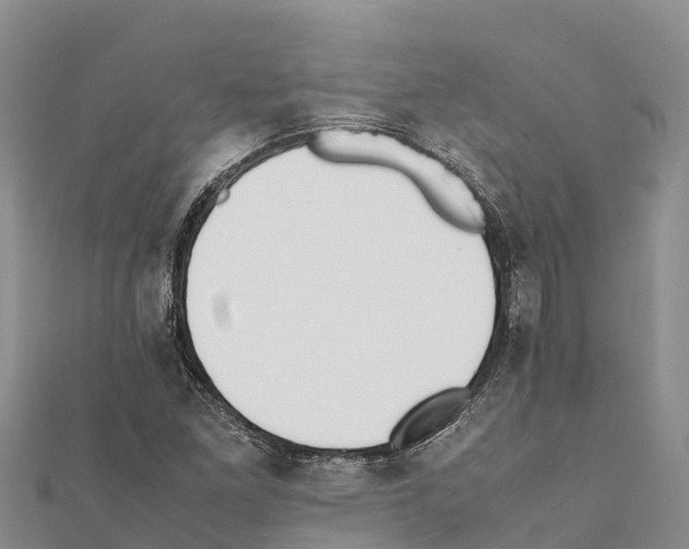X0000111391261200908211354