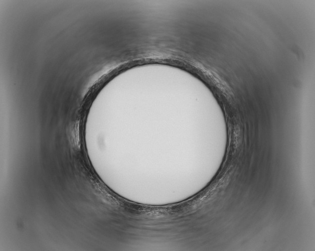 X0000111391262200908211354