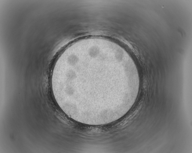 X0000111391263200908211354