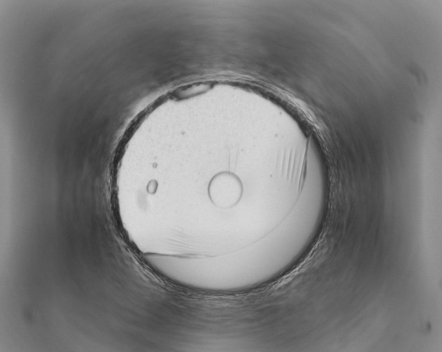 X0000111391264200908211354