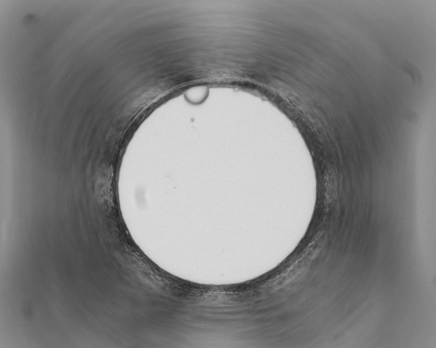 X0000111391265200908211354