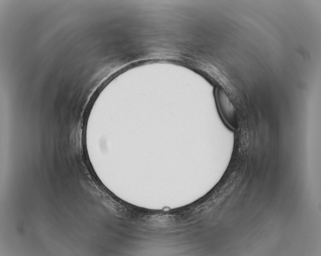 X0000111391268200908211354