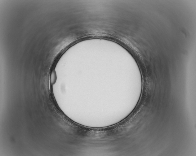 X0000111391269200908211354