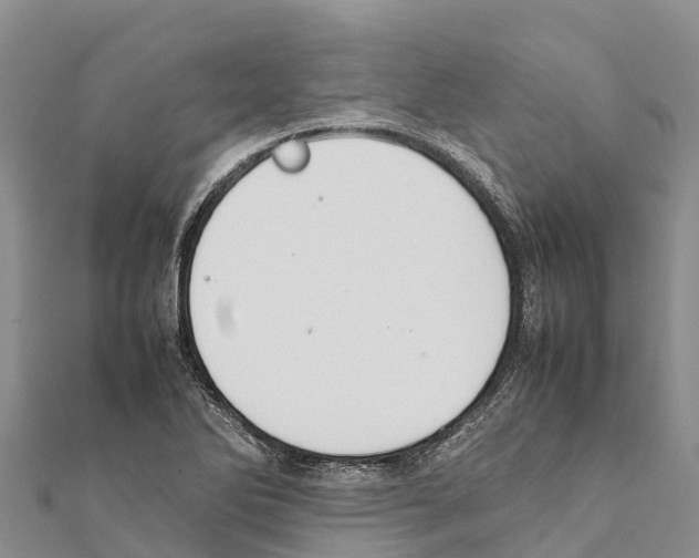 X0000111391270200908211354