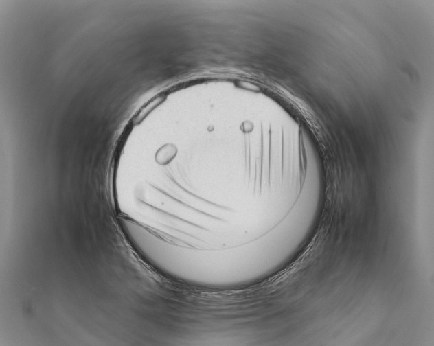 X0000111391272200908211354