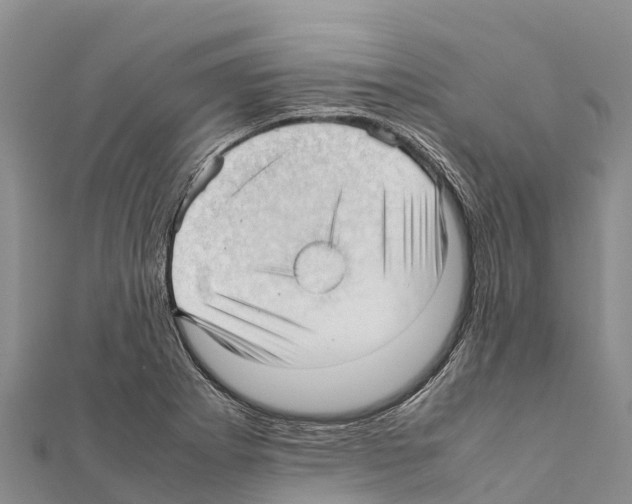 X0000111391273200908211354