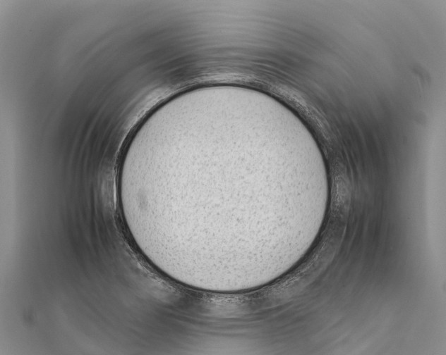 X0000111391274200908211354