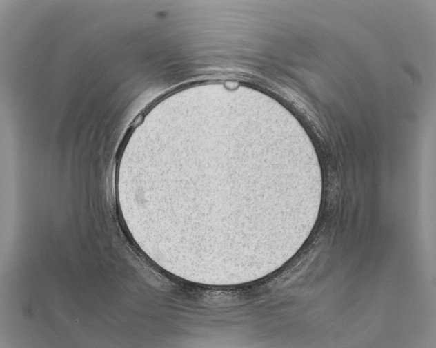 X0000111391275200908211354