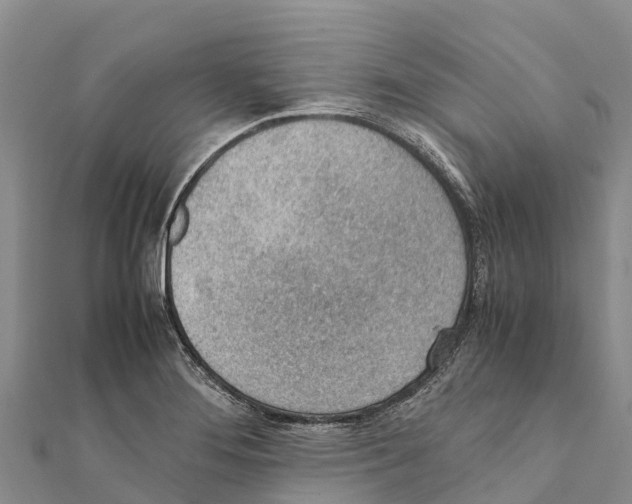 X0000111391276200908211354
