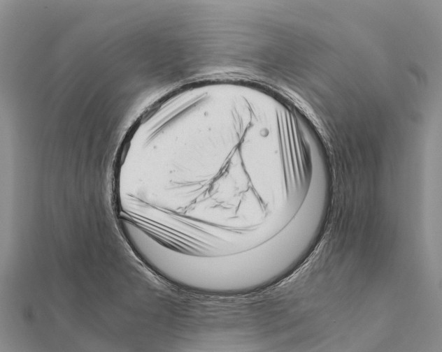 X0000111391277200908211354