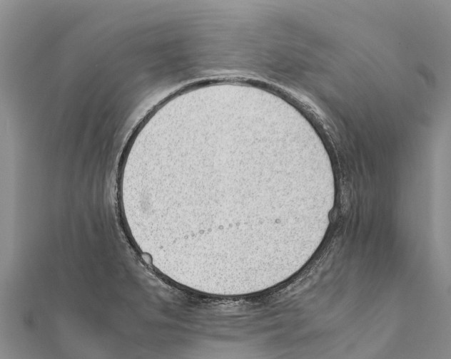 X0000111391279200908211353
