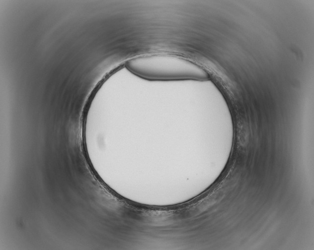 X0000111391280200908211353