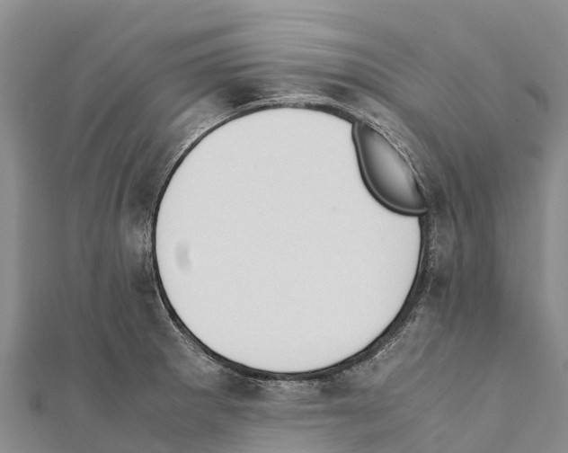 X0000111391281200908211353