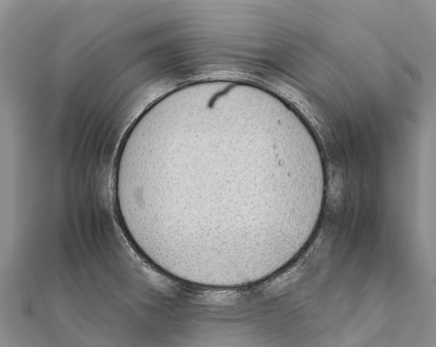 X0000111391282200908211353