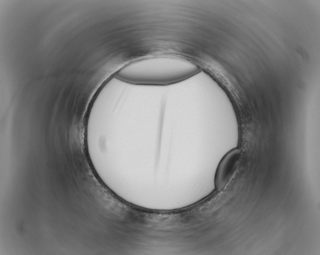 X0000111391284200908211353