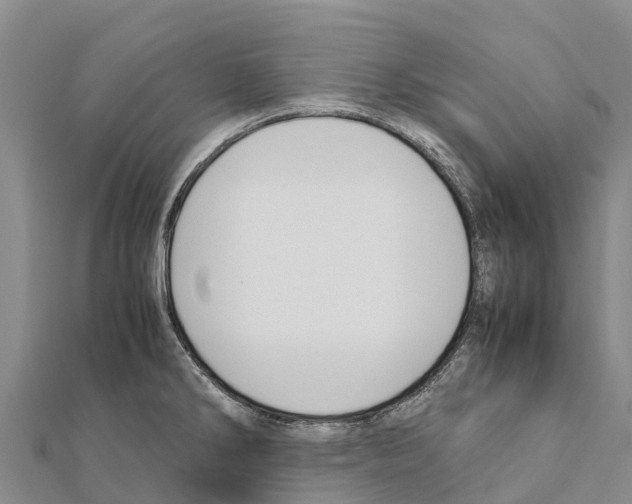 X0000111391286200908211353
