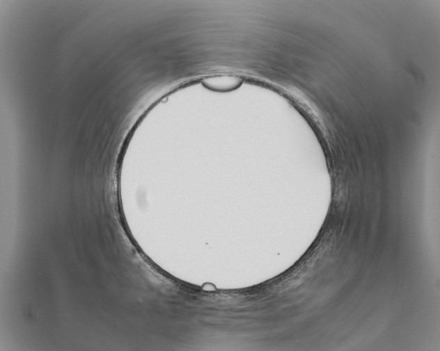 X0000111391287200908211353