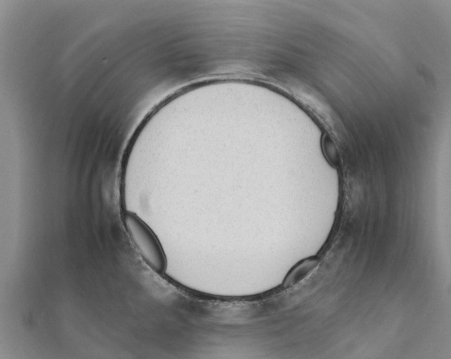 X0000111391288200908211353