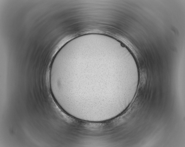 X0000111391290200908211353