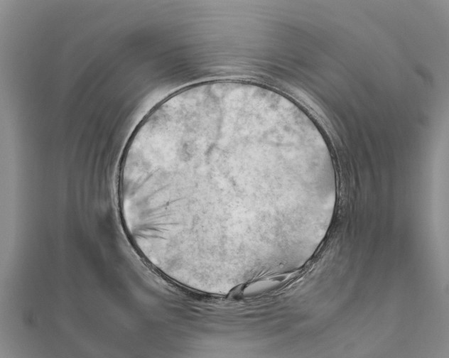 X0000111391291200908211353