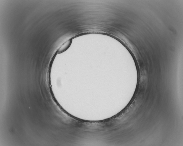 X0000111391293200908211353