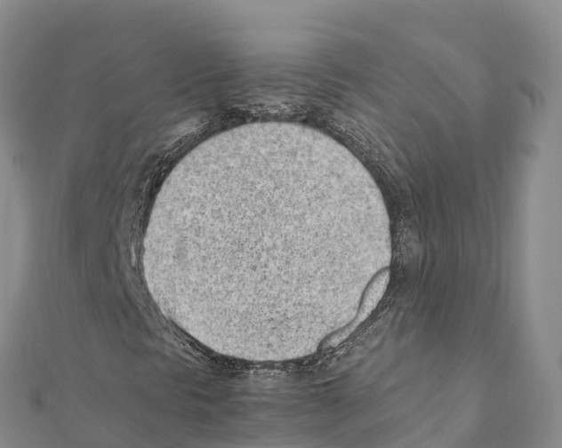 X0000111391297200908211353