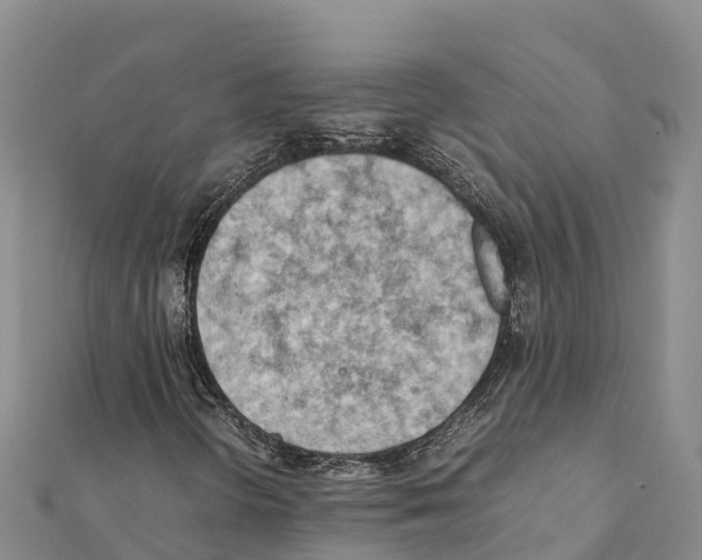X0000111391298200908211353