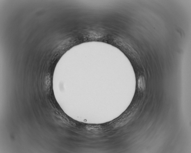X0000111391299200908211353