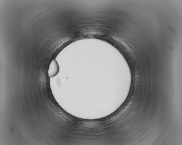 X0000111391305200908211353