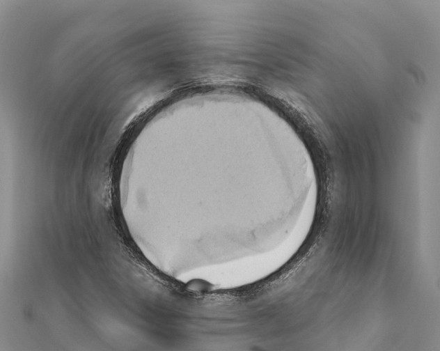 X0000111391306200908211353