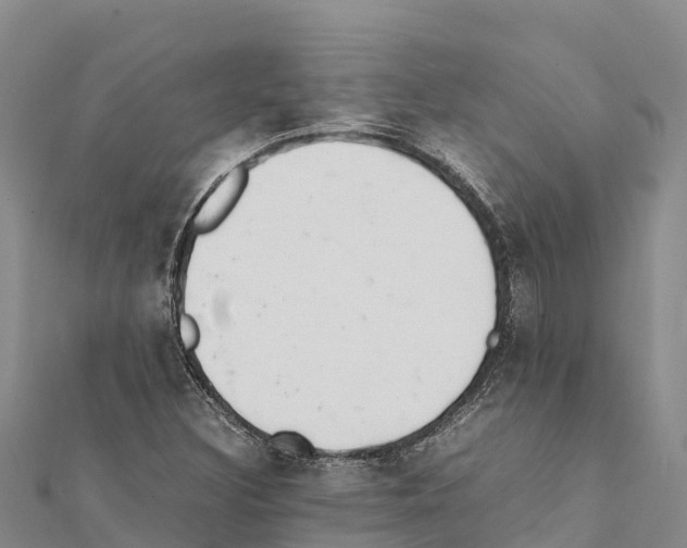 X0000111391308200908211353