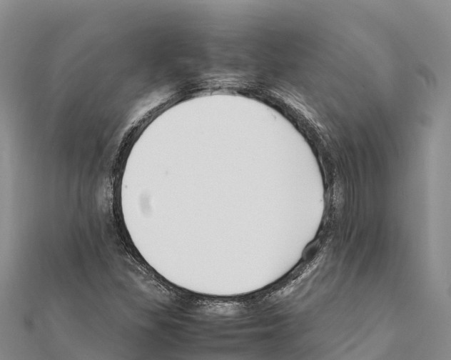 X0000111391309200908211353