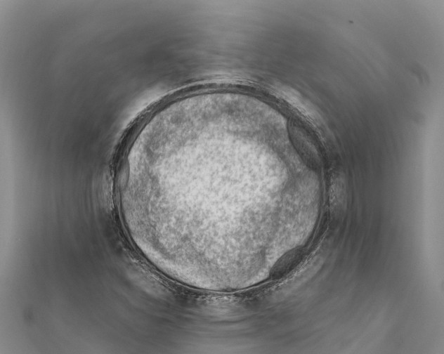 X0000111391310200908211353
