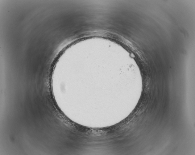X0000111391312200908211353