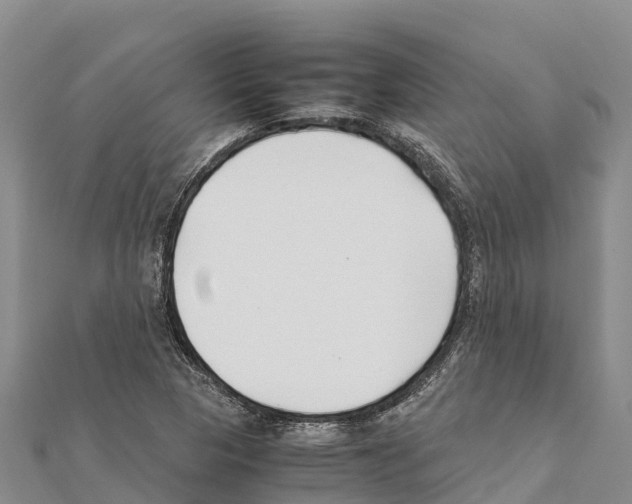 X0000111391313200908211353