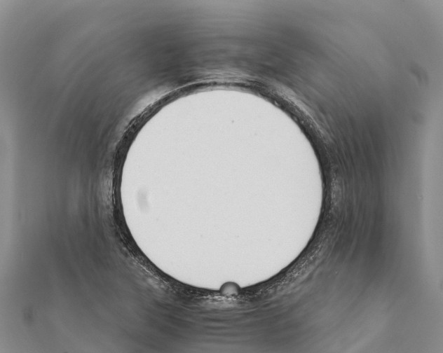 X0000111391315200908211353