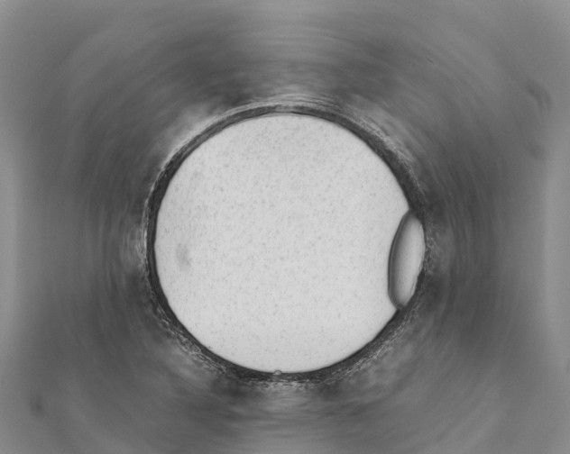 X0000111391316200908211353