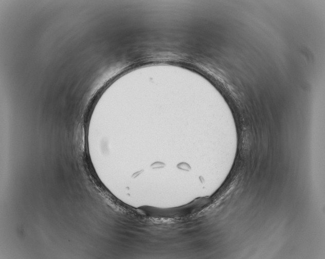 X0000111391317200908211353
