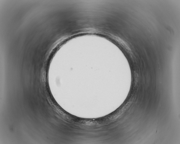X0000111391318200908211353
