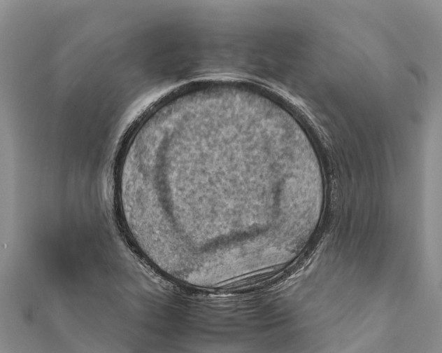 X0000111391319200908211353