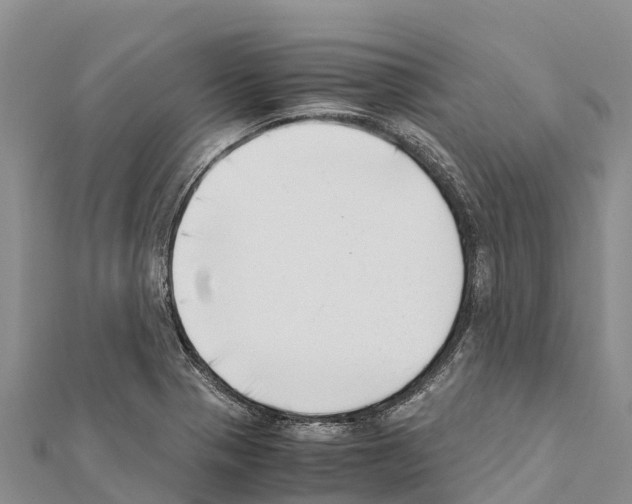 X0000111391321200908211353
