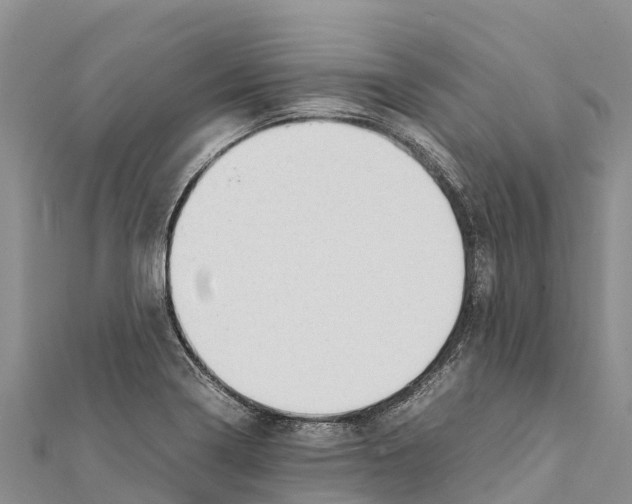X0000111391322200908211353