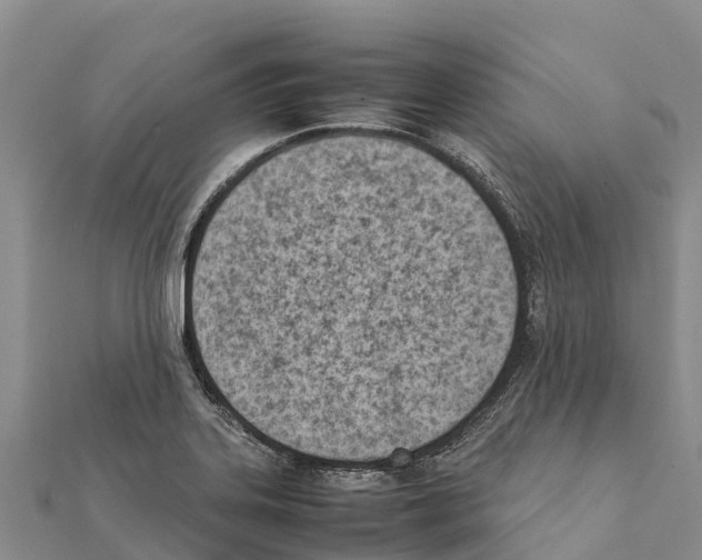 X0000111391323200908211353