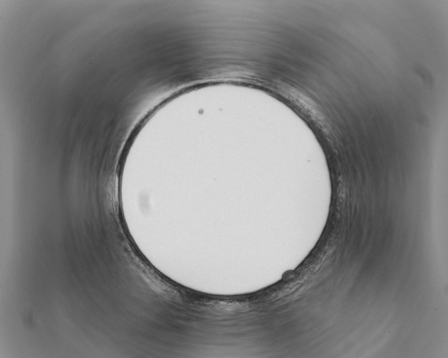 X0000111391324200908211353
