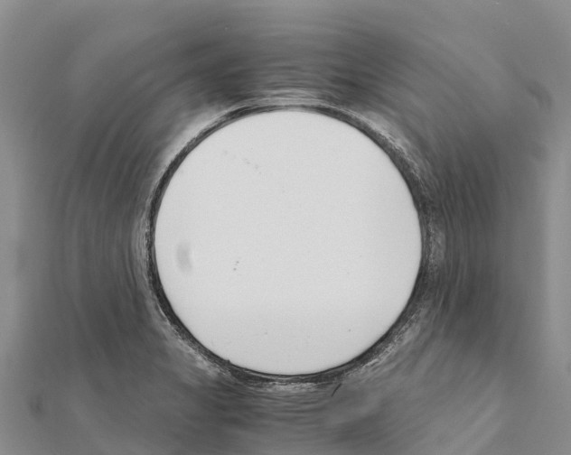X0000111391325200908211353
