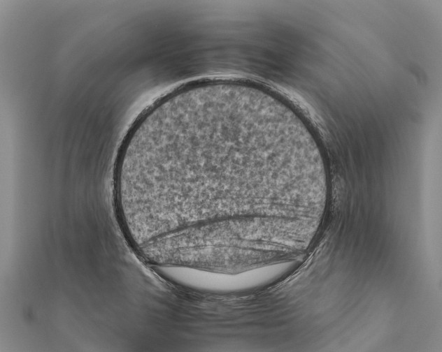 X0000111391327200908211353