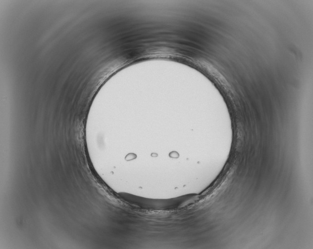 X0000111391329200908211353