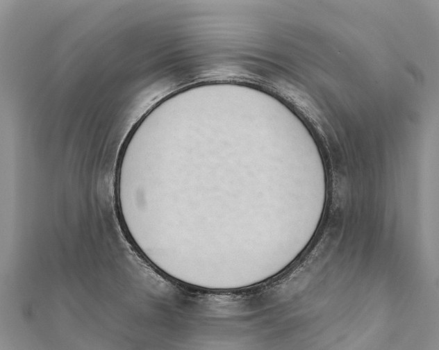 X0000111391330200908211353