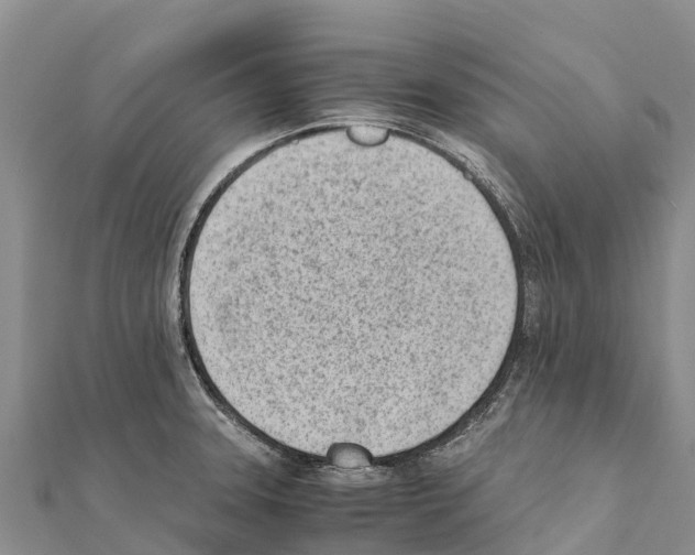 X0000111391331200908211353