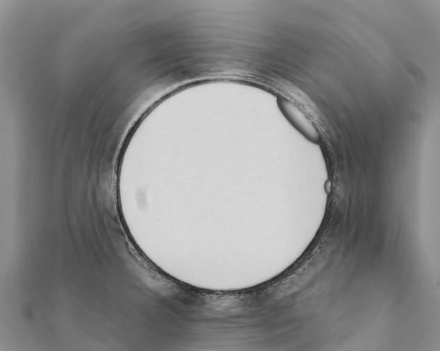 X0000111391332200908211353